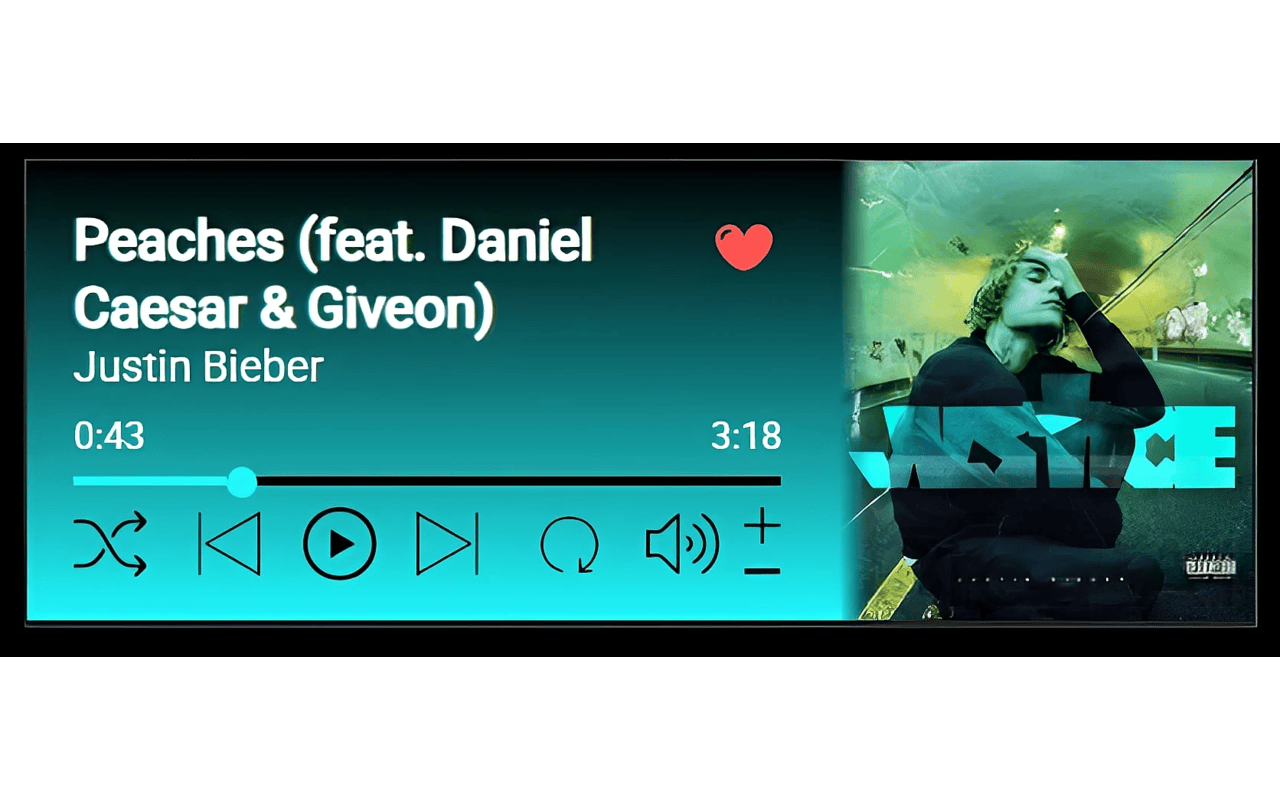 Playback Controls Screenshot